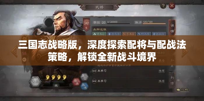 三国志战略版，深度探索配将与配战法策略，解锁全新战斗境界