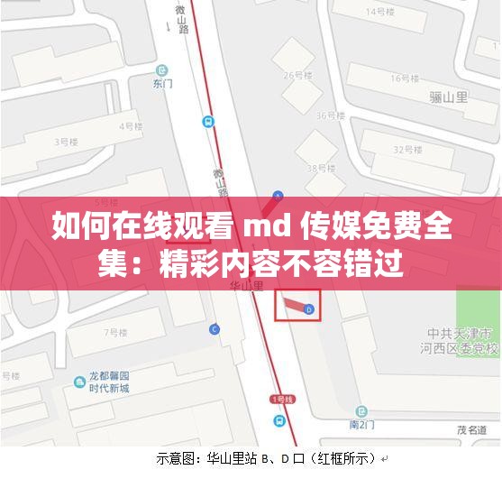 如何在线观看 md 传媒免费全集：精彩内容不容错过