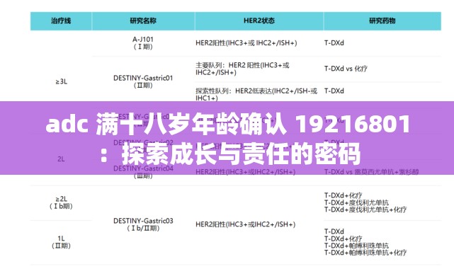 adc 满十八岁年龄确认 19216801：探索成长与责任的密码