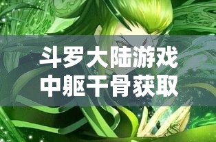 斗罗大陆游戏中躯干骨获取途径及高效资源管理利用策略