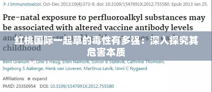 红桃国际一起草的毒性有多强：深入探究其危害本质