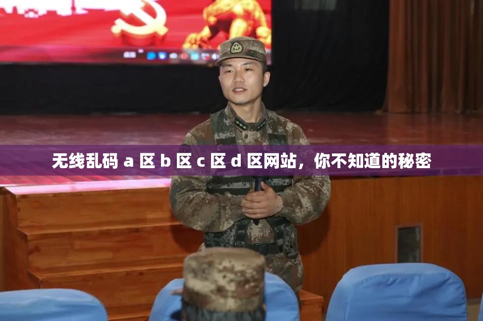 无线乱码 a 区 b 区 c 区 d 区网站，你不知道的秘密