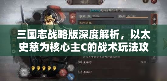 三国志战略版深度解析，以太史慈为核心主C的战术玩法攻略