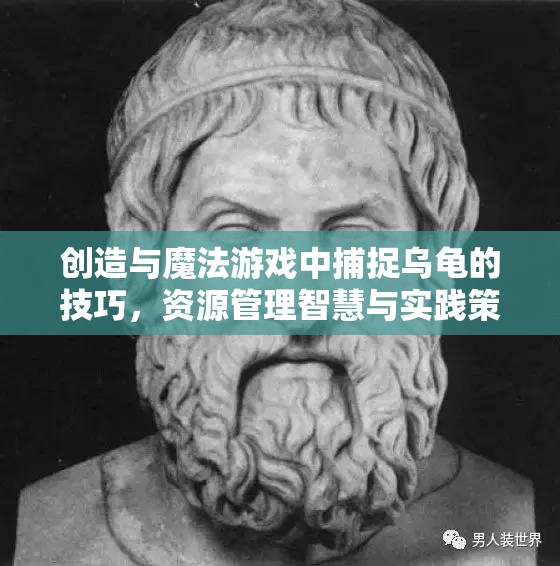 创造与魔法游戏中捕捉乌龟的技巧，资源管理智慧与实践策略解析