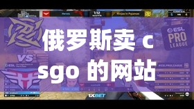 俄罗斯卖 csgo 的网站免费进入：你不可错过的游戏资源获取地