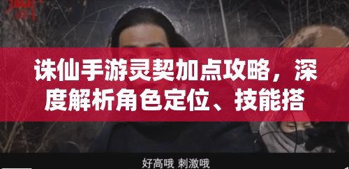 诛仙手游灵契加点攻略，深度解析角色定位、技能搭配与实践策略