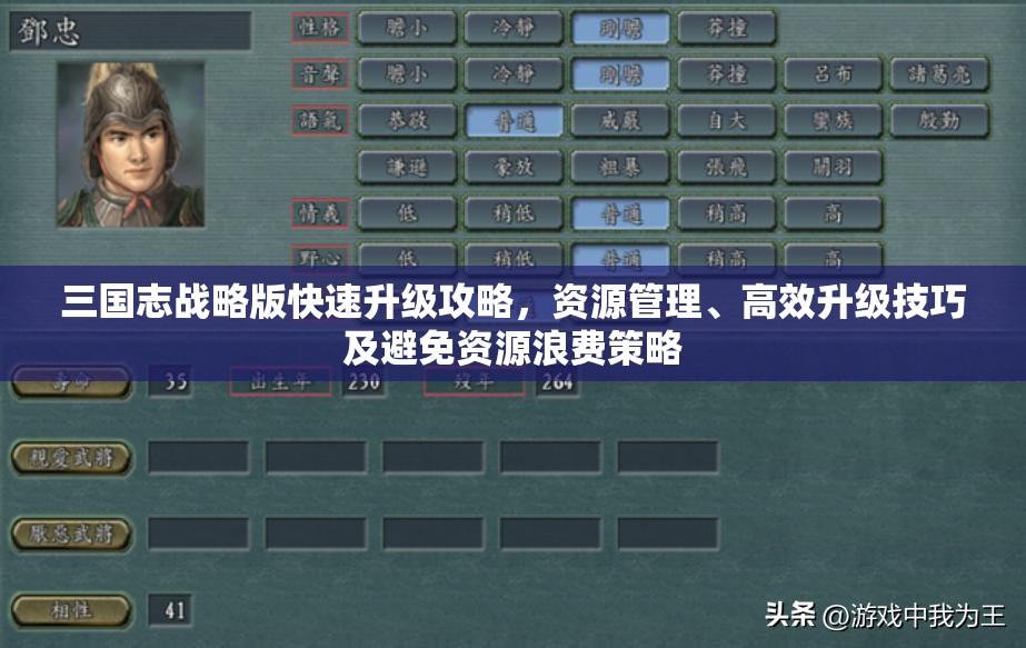 三国志战略版快速升级攻略，资源管理、高效升级技巧及避免资源浪费策略