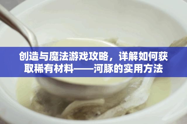 创造与魔法游戏攻略，详解如何获取稀有材料——河豚的实用方法