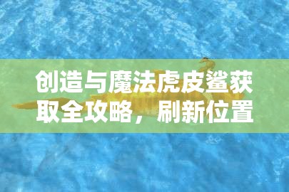 创造与魔法虎皮鲨获取全攻略，刷新位置、抓捕方法及饲料准备详解