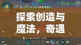 探索创造与魔法，奇遇果实进化使用方法在资源管理中的核心策略与重要性