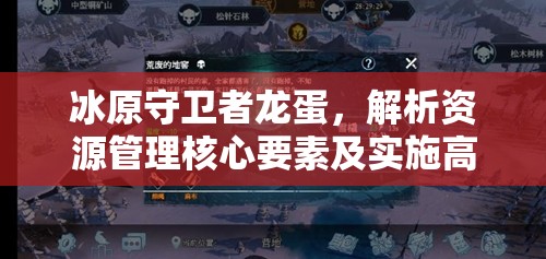 冰原守卫者龙蛋，解析资源管理核心要素及实施高效利用策略