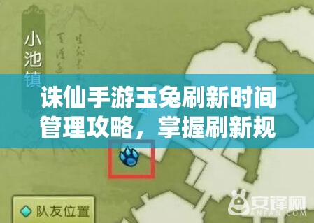 诛仙手游玉兔刷新时间管理攻略，掌握刷新规律，高效捕捉稀有玉兔宠物