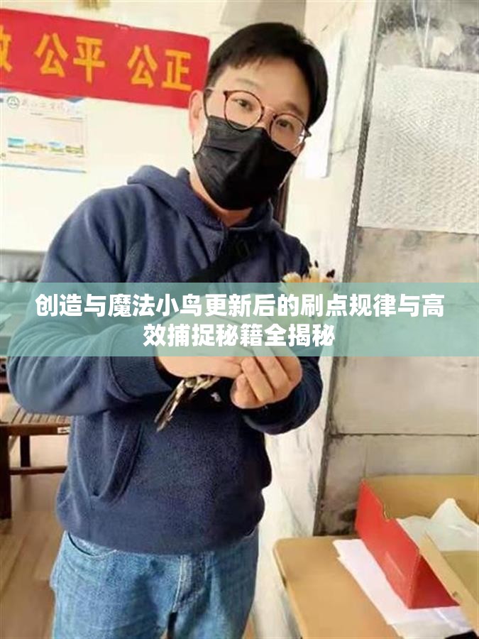 创造与魔法小鸟更新后的刷点规律与高效捕捉秘籍全揭秘