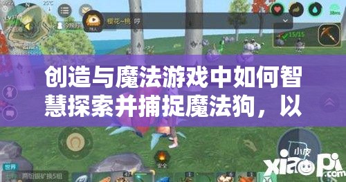 创造与魔法游戏中如何智慧探索并捕捉魔法狗，以及资源管理技巧