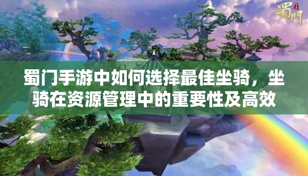 蜀门手游中如何选择最佳坐骑，坐骑在资源管理中的重要性及高效利用策略解析