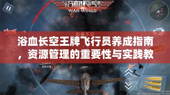 浴血长空王牌飞行员养成指南，资源管理的重要性与实践教学