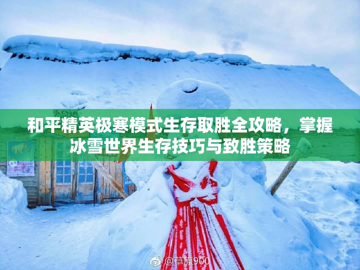 和平精英极寒模式生存取胜全攻略，掌握冰雪世界生存技巧与致胜策略