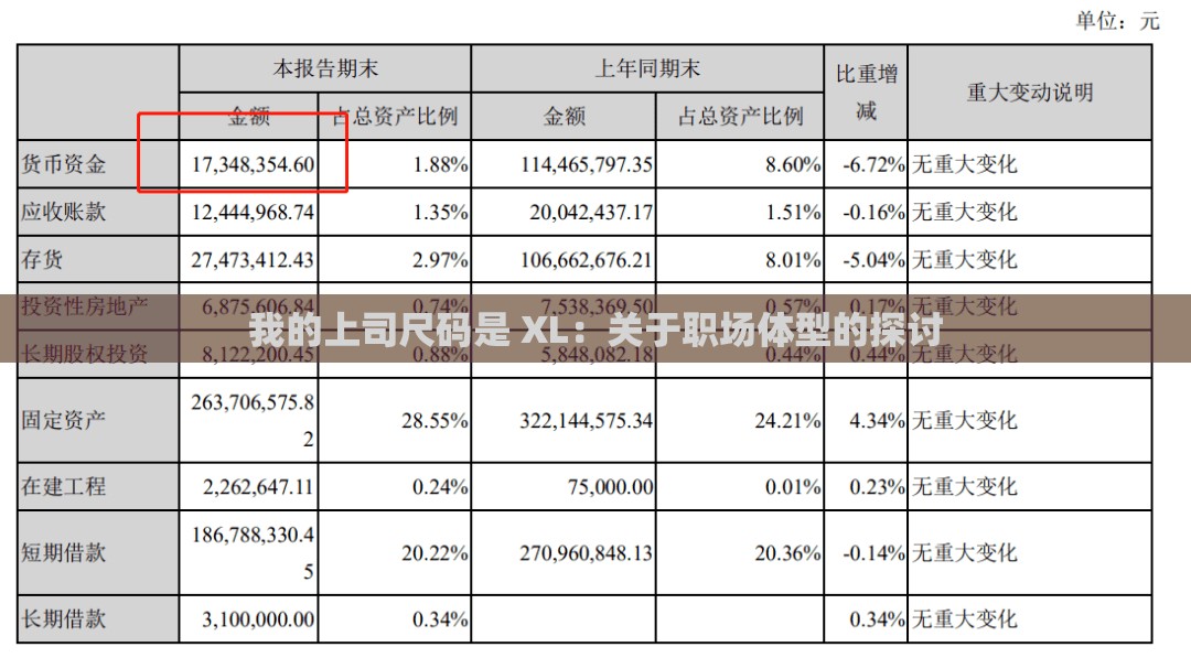 我的上司尺码是 XL：关于职场体型的探讨