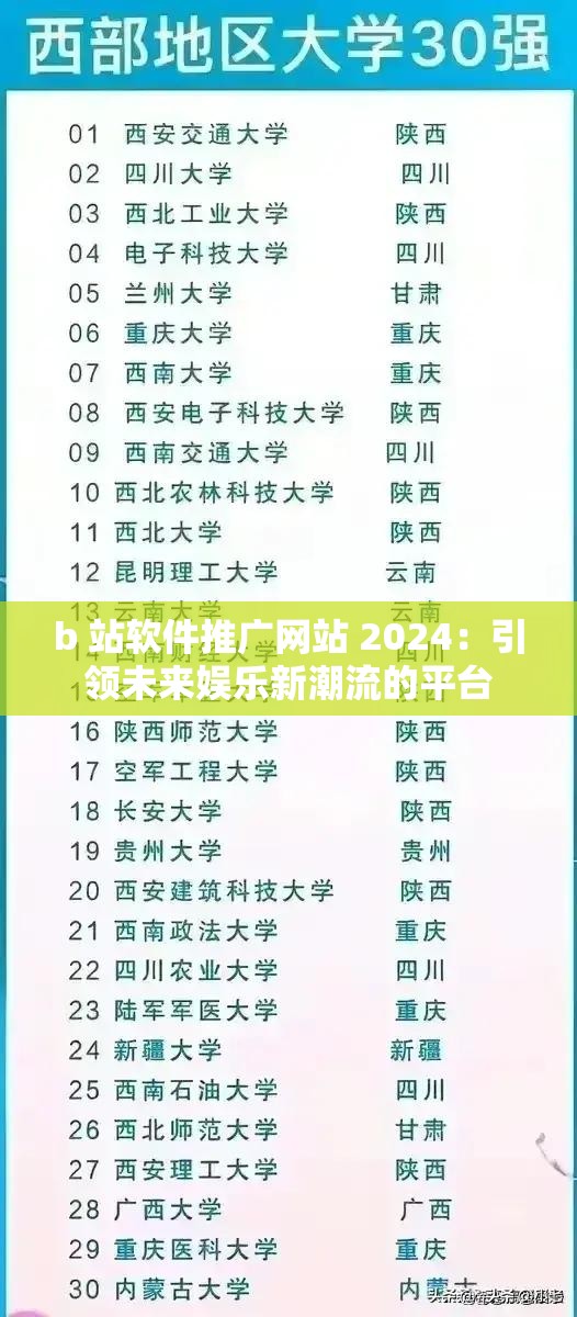 b 站软件推广网站 2024：引领未来娱乐新潮流的平台