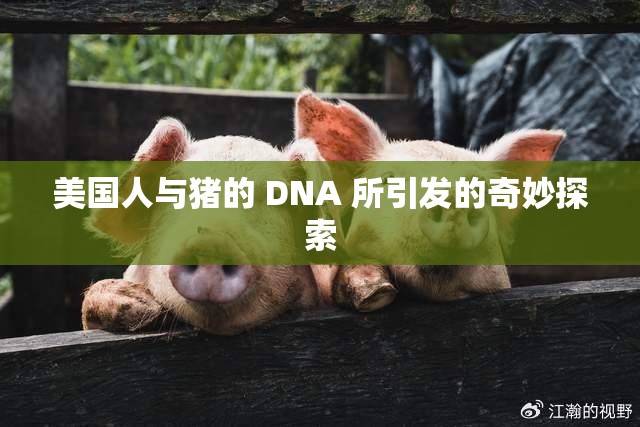 美国人与猪的 DNA 所引发的奇妙探索