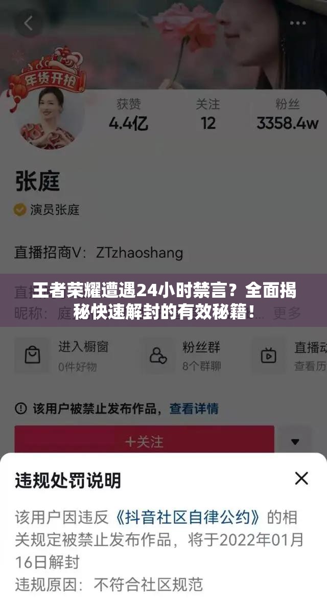 王者荣耀遭遇24小时禁言？全面揭秘快速解封的有效秘籍！