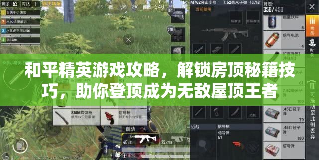 和平精英游戏攻略，解锁房顶秘籍技巧，助你登顶成为无敌屋顶王者