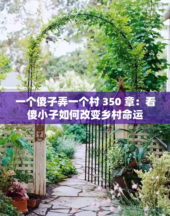 一个傻子弄一个村 350 章：看傻小子如何改变乡村命运