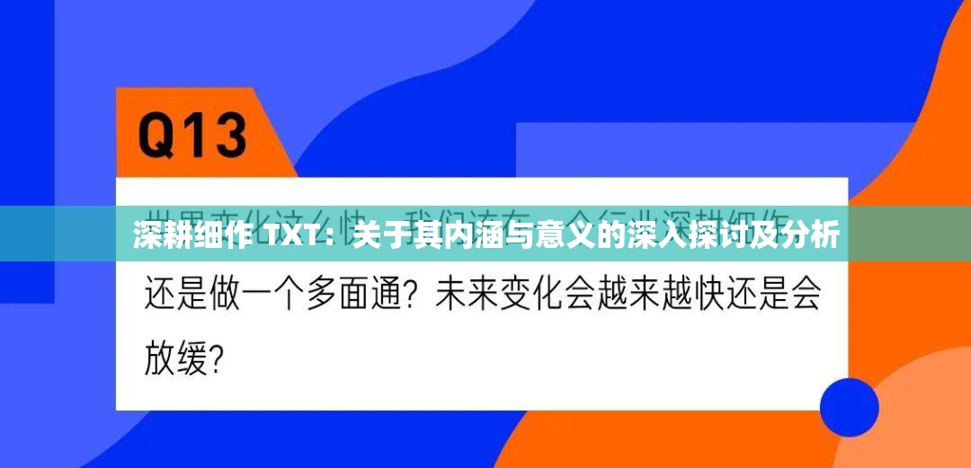 深耕细作 TXT：关于其内涵与意义的深入探讨及分析