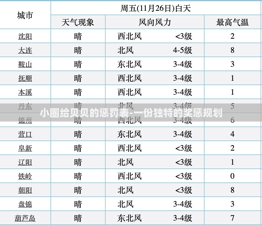 小圈给贝贝的惩罚表-一份独特的奖惩规划