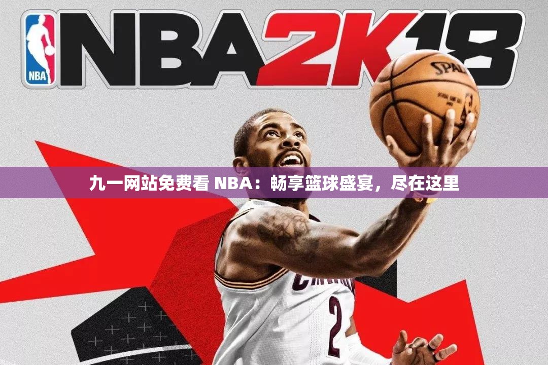 九一网站免费看 NBA：畅享篮球盛宴，尽在这里