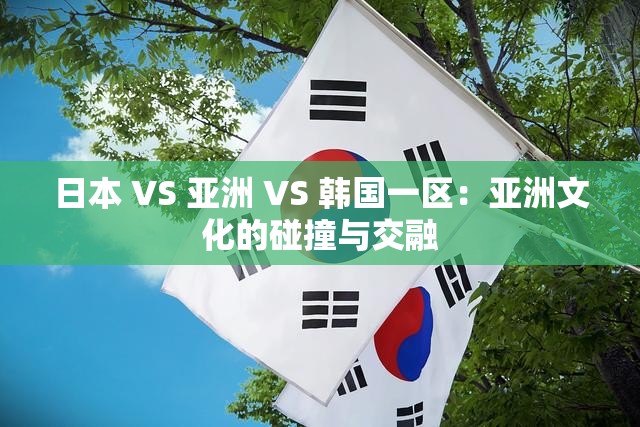 日本 VS 亚洲 VS 韩国一区：亚洲文化的碰撞与交融