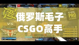 俄罗斯毛子CSGO高手分享：如何在游戏中提升技巧与团队协作？