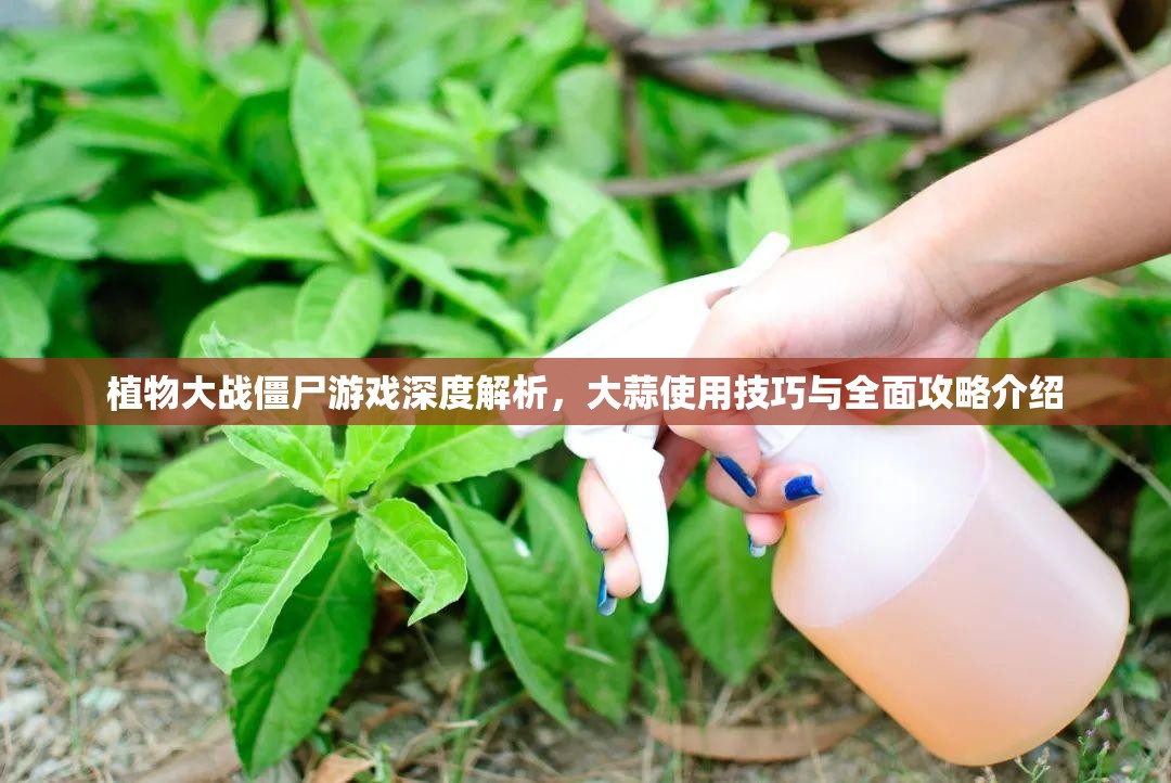 植物大战僵尸游戏深度解析，大蒜使用技巧与全面攻略介绍