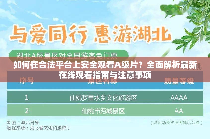 如何在合法平台上安全观看A级片？全面解析最新在线观看指南与注意事项