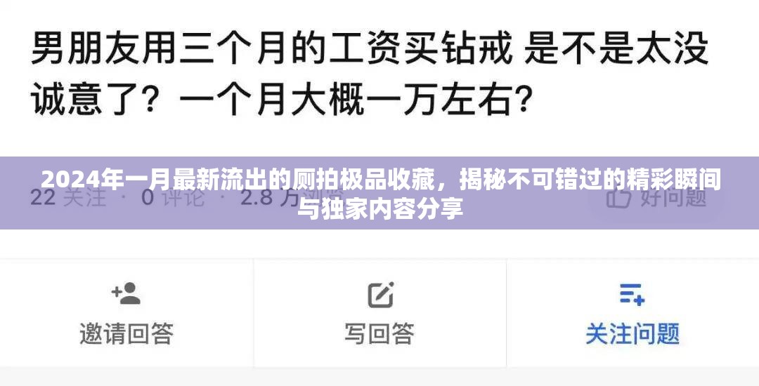 2024年一月最新流出的厕拍极品收藏，揭秘不可错过的精彩瞬间与独家内容分享