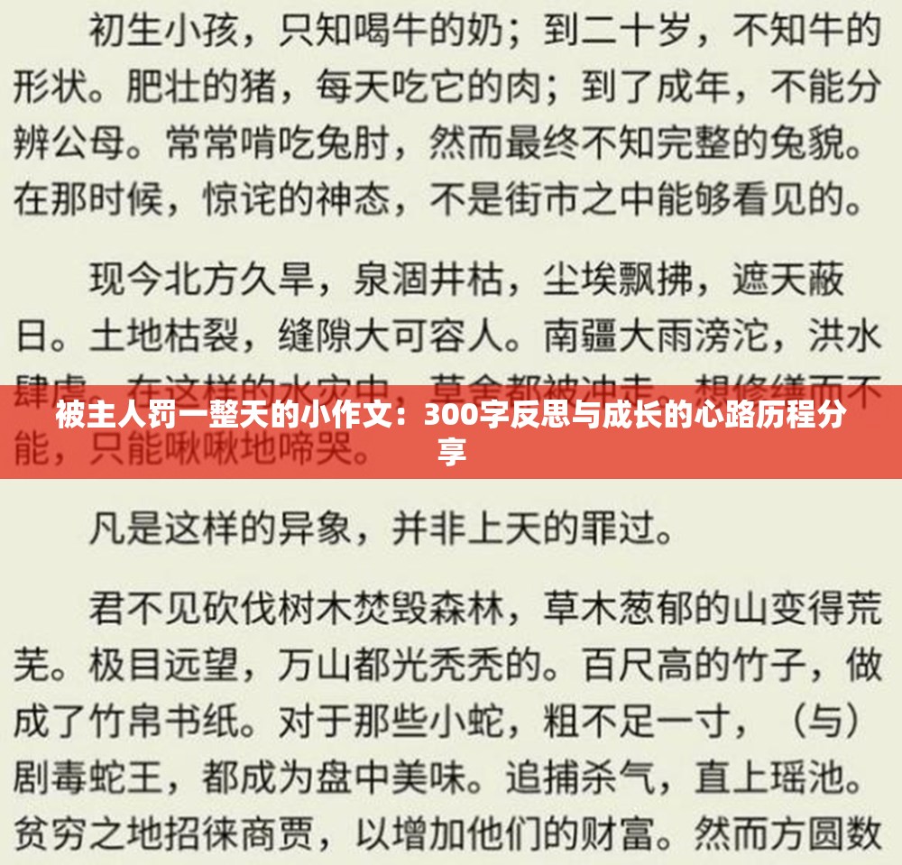 被主人罚一整天的小作文：300字反思与成长的心路历程分享