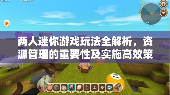 两人迷你游戏玩法全解析，资源管理的重要性及实施高效策略指南