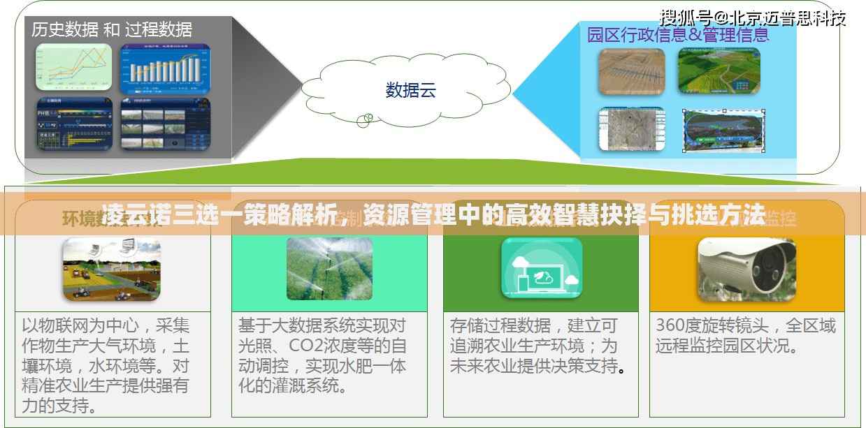 凌云诺三选一策略解析，资源管理中的高效智慧抉择与挑选方法