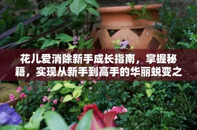 花儿爱消除新手成长指南，掌握秘籍，实现从新手到高手的华丽蜕变之旅