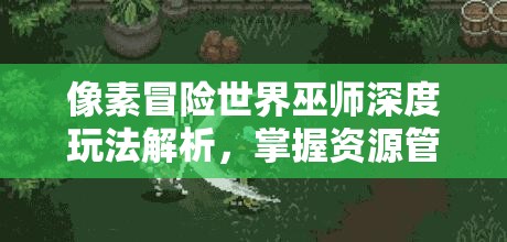 像素冒险世界巫师深度玩法解析，掌握资源管理艺术，提升巫师战斗力