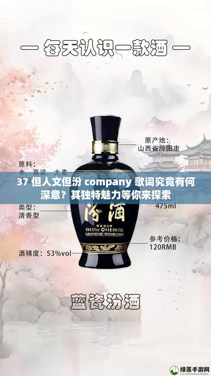 37 但人文但汾 company 歌词究竟有何深意？其独特魅力等你来探索