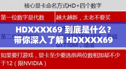 HDXXXX69 到底是什么？带你深入了解 HDXXXX69 的神秘含义与相关信息