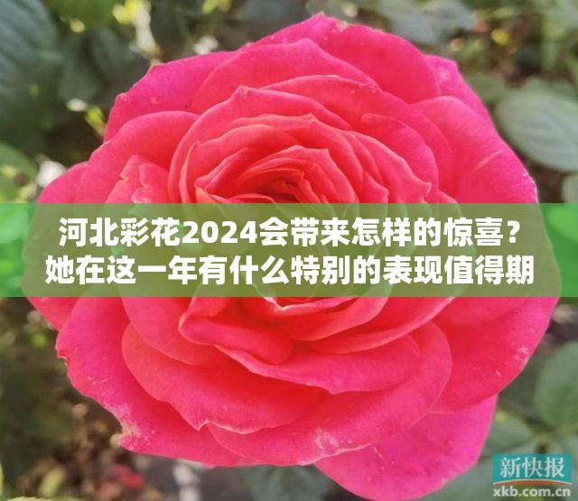 河北彩花2024会带来怎样的惊喜？她在这一年有什么特别的表现值得期待？