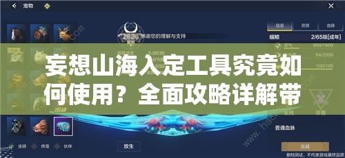 妄想山海入定工具究竟如何使用？全面攻略详解带你揭秘！