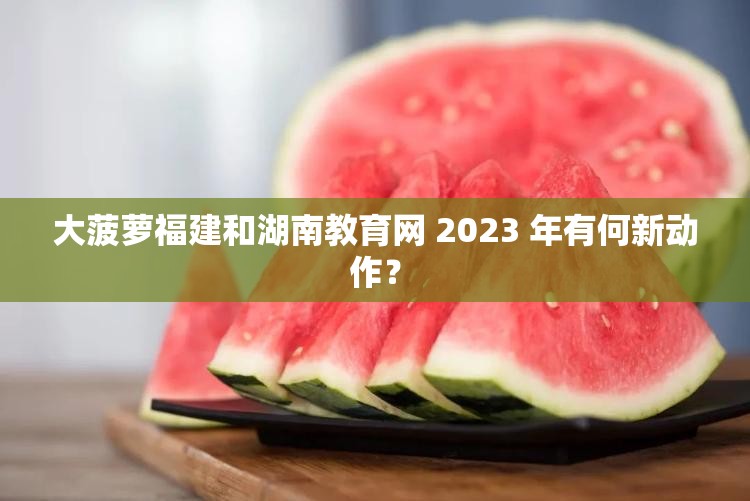 大菠萝福建和湖南教育网 2023 年有何新动作？