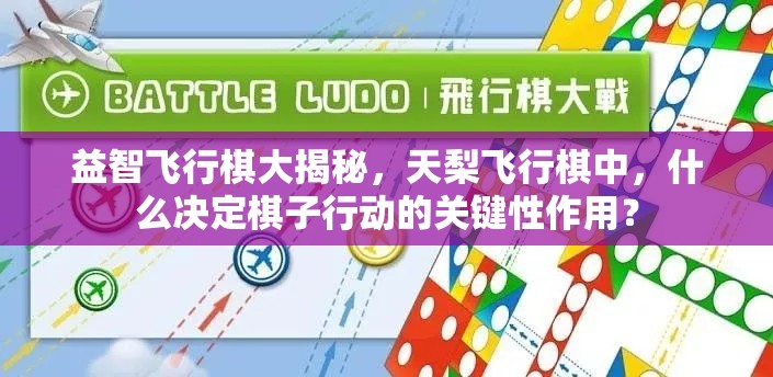 益智飞行棋大揭秘，天梨飞行棋中，什么决定棋子行动的关键性作用？