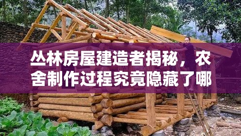 丛林房屋建造者揭秘，农舍制作过程究竟隐藏了哪些奥秘？