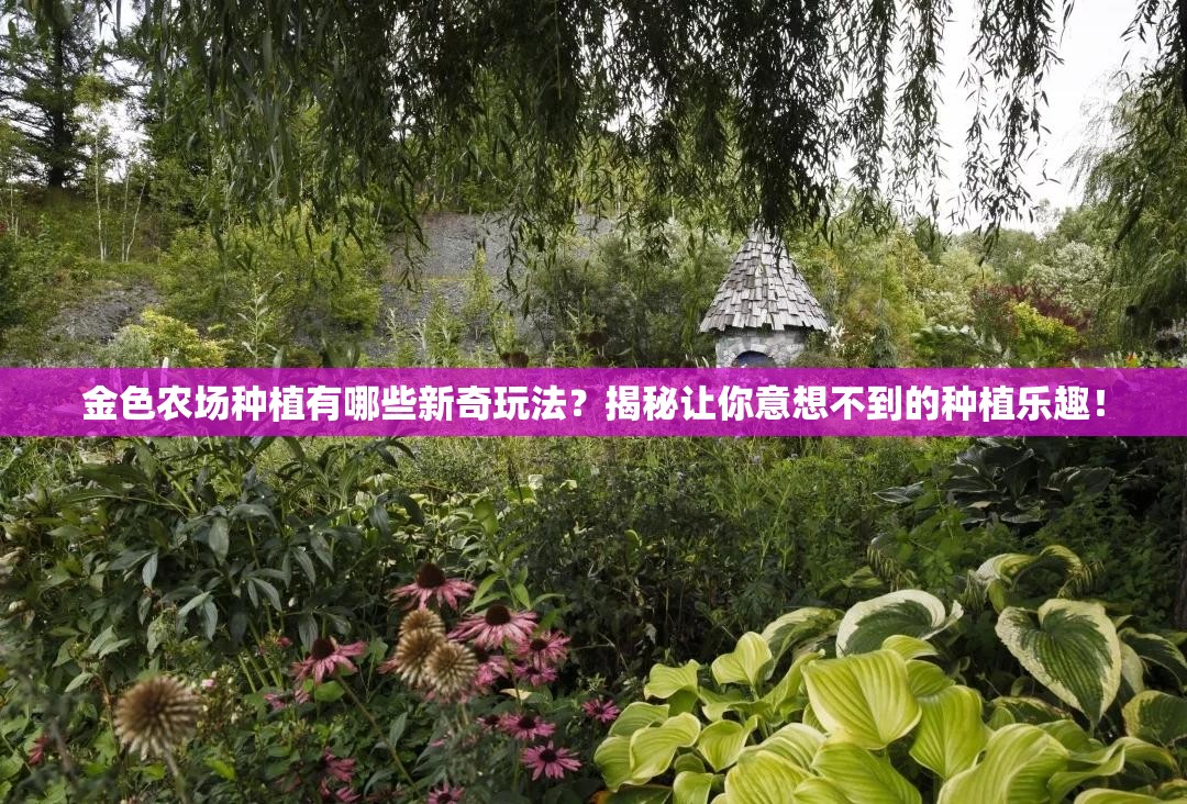 金色农场种植有哪些新奇玩法？揭秘让你意想不到的种植乐趣！