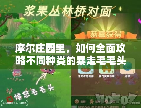 摩尔庄园里，如何全面攻略不同种类的暴走毛毛头成为高手？