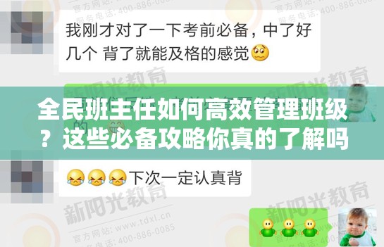 全民班主任如何高效管理班级？这些必备攻略你真的了解吗？